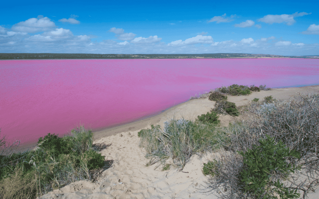 17 incredible pink lakes Pink lake Australia guide