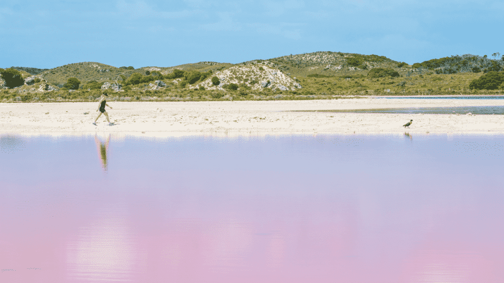 A scenic shot of a pink lake at Rottnest Island